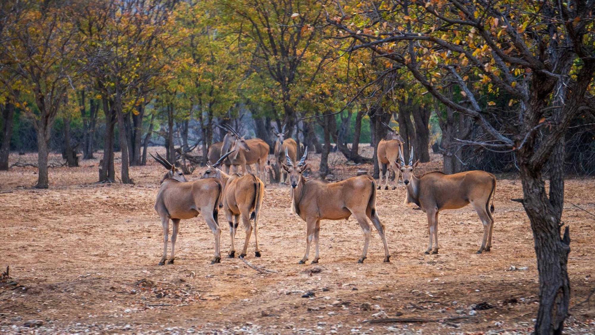 Ugab Game Farm & Lodge Vingerklip ภายนอก รูปภาพ